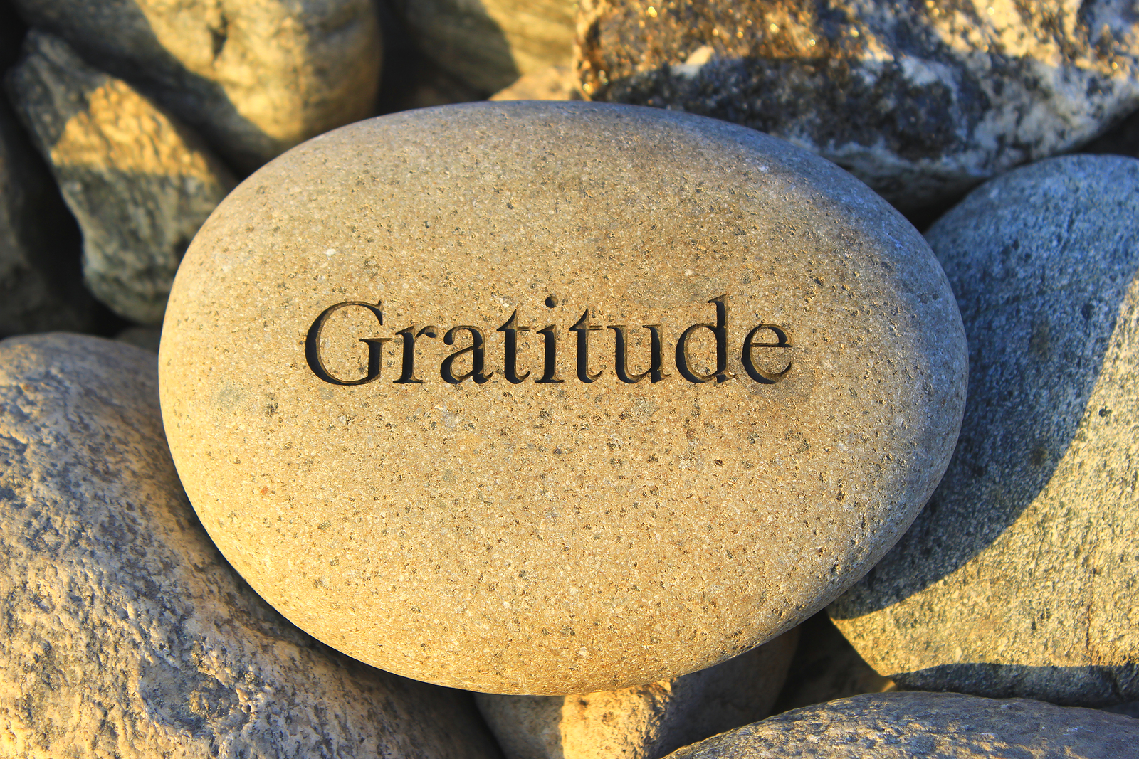 gratitude-1